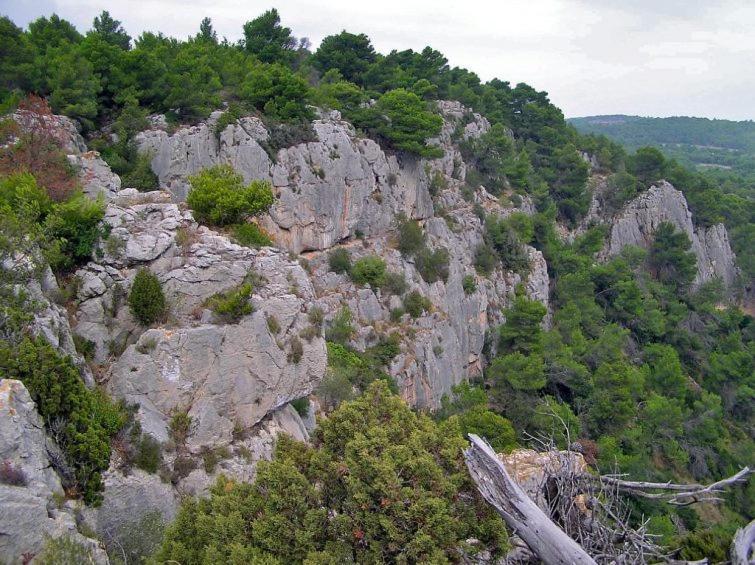 Bleu Soleil Βίλα Gruissan Εξωτερικό φωτογραφία